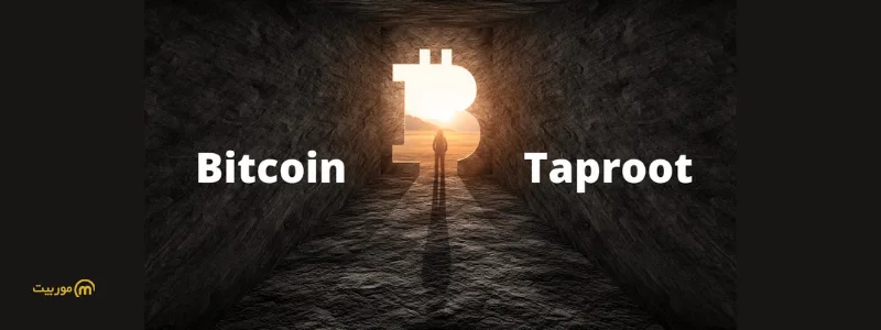 تپ روت بیت کوین