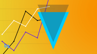 ارز ورج چیست؟ همه چیز درباره توکن XVG!