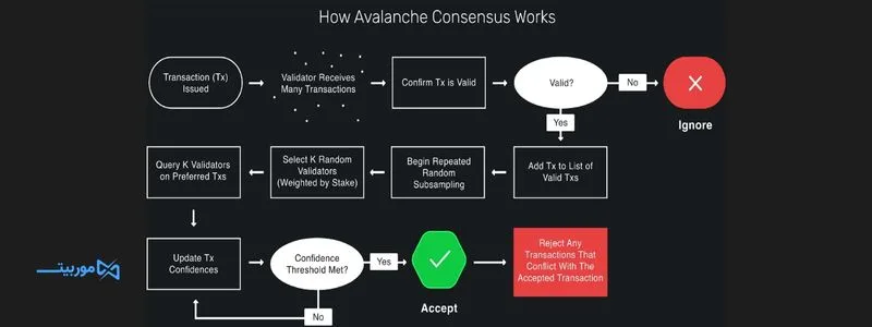 الگوریم اجماع آوالانچ