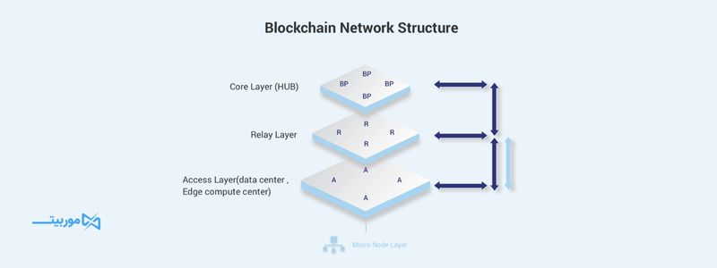 ساختار شبکه بلاکچین انکر چیست؟