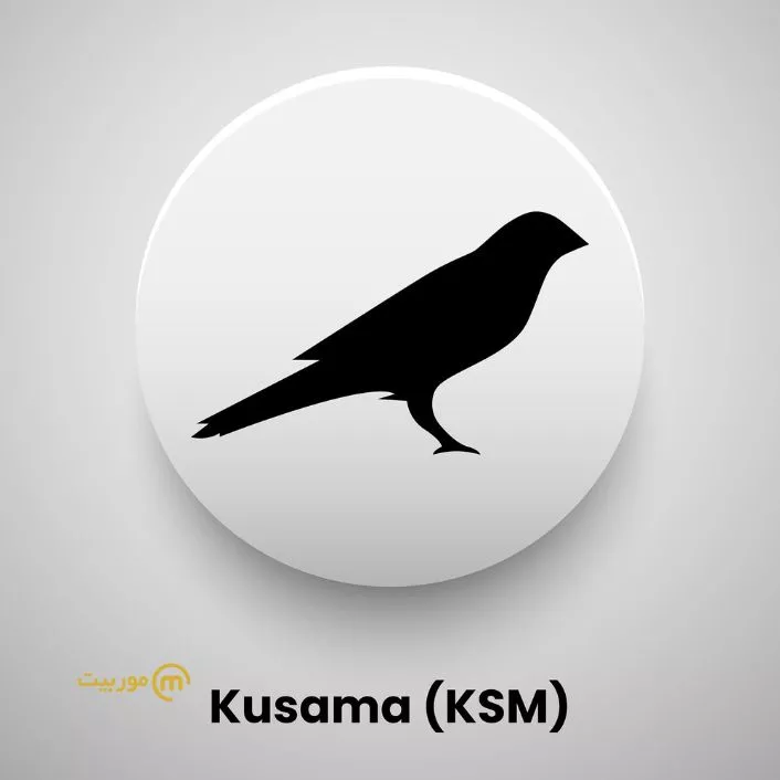 رمزارز kusama چیست؟