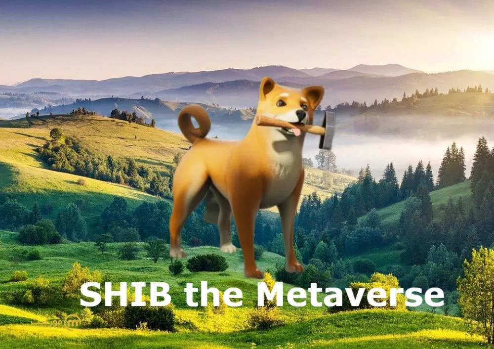 متاورس شیبا (SHIB: The Metaverse) چیست؟