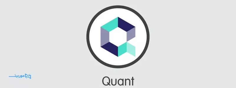 مزایا و معایب شبکه quant چیست؟