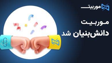 موربین دانش بنیان شد