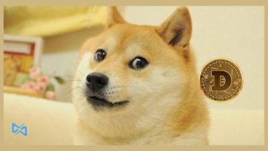 نهنگ دوج کوین پس از 9 سال بیدار شد!