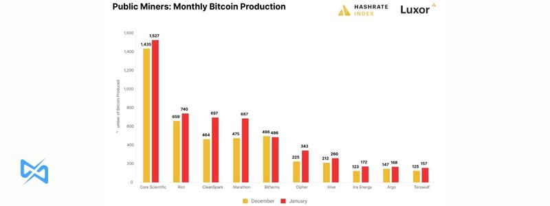 استخراج کنندگان عمومی: تولید ماهانه بیت کوین – منبع: Hashrate Index and Luxor