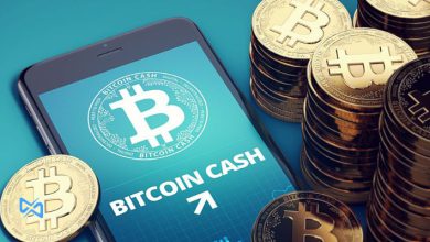 پیش بینی آینده بیت کوین کش تا سال 2030