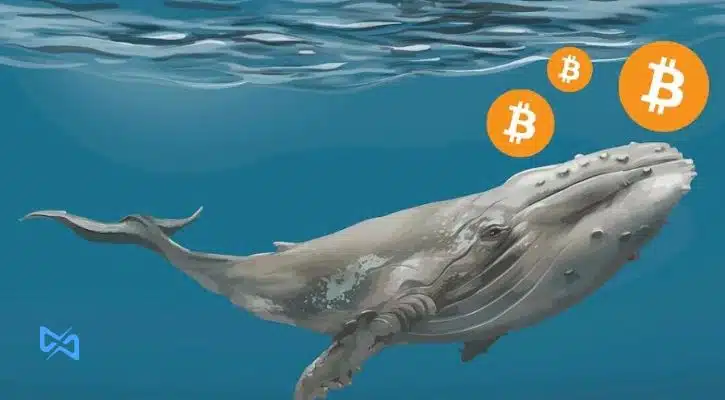 جابهجایی بیش از 850 میلیون دلار بیت کوین توسط نهنگها!