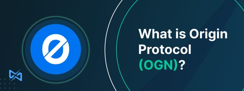 پروتکل ارز OGN چیست؟