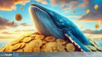کیف پول های مرموز نهنگ بیت کوین پس از ده سال دوباره فعال شده اند