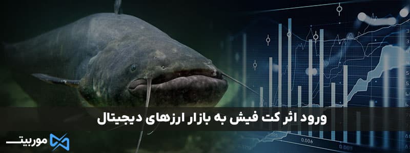 ورود اثر کت فیش به بازار ارزهای دیجیتال