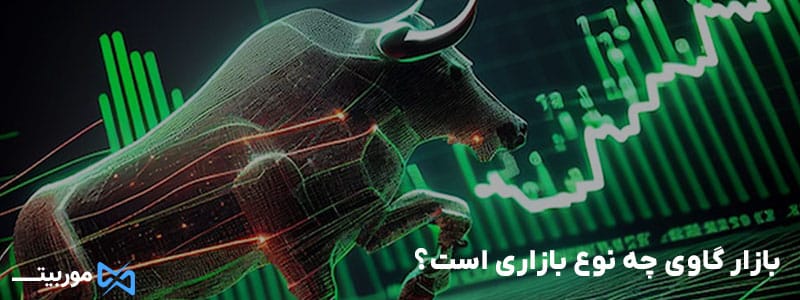 بازار گاوی چه نوع بازاری است؟